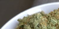 Cannabis Discussions and Pictures on Reddit